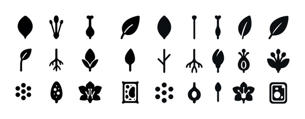 Obraz premium Various plant icons: leaves, flowers, seeds, and stems in black silhouettes