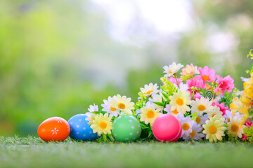 Bunny easter fluffy rabbit eating food, vegetables, carrots, baby corn on green garden nature flowers background on sunny day, Lovely mammal with bright eyes in nature life. Symbol of easter day.