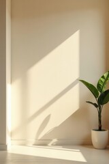 Neutral beige studio wall, soft window light, blurred background , wall, still life, decor