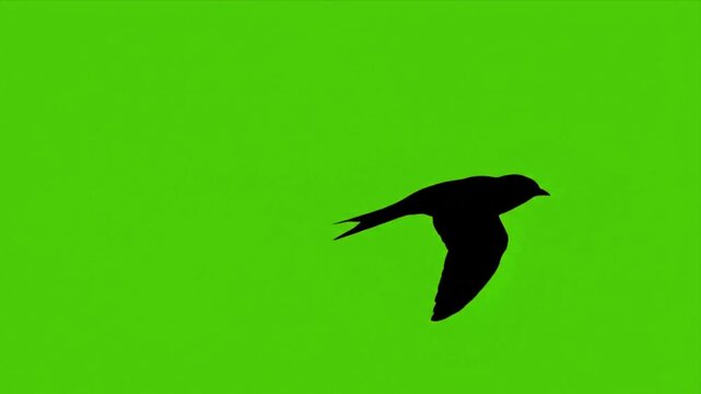 Silhouette of a bird gliding across a vibrant green screen representing freedom nature and the beauty of flight in