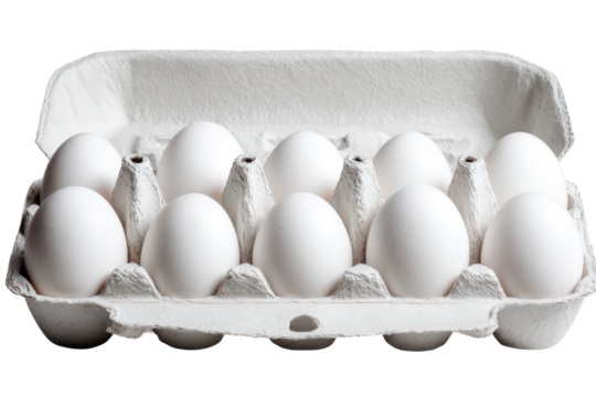 Ten white chicken eggs in a gray cardboard carton on a black background image, Isolated On Transparent Background, Png Cut Out