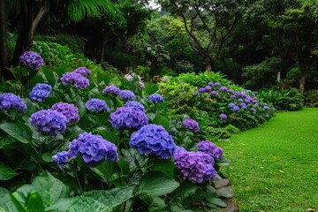 A lush garden with vibrant purple hydrangeas, green grass, and towering trees, creating a serene and tranquil atmosphere.