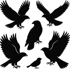 Obraz premium Black Silhouette Collection of Birds of Prey and Small Bird