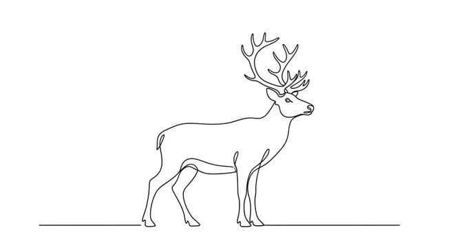 Elegant minimalist line art drawing of a majestic deer with impressive antlers looking forward