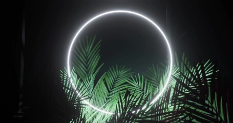 Obraz premium Glowing white neon ring hovering in dim gallery, lighting green palm fronds with haze