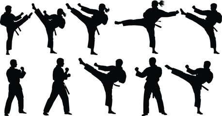 Martial arts silhouettes performing karate and taekwondo kicks, athletes in action poses, combat sport illustration, fitness training design, vector artwork collection
