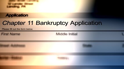 Chapter 11 Bankruptcy Application