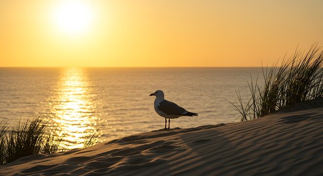 Golden hour view of a solitary seagull perched on a sand dune, ocean reflecting the sunlight