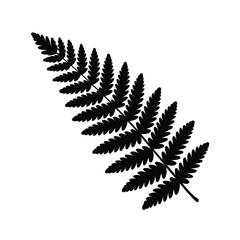 Black silhouette of a fern frond isolated on white background