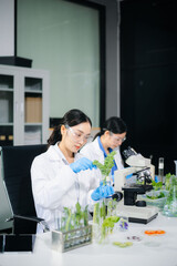 Two Asian scientists in a lab conducting food research using a microscope and lab equipment, showcasing innovation in food science and biotechnology
