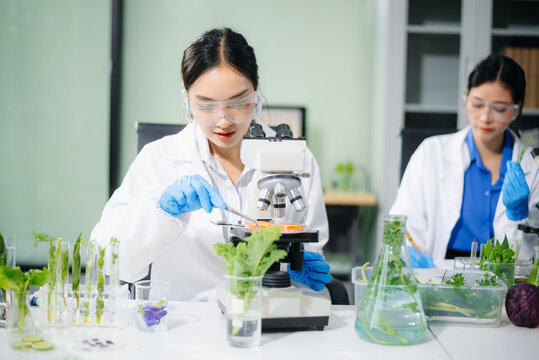 Food scientists in lab coats, testing samples, and analyzing food safety and quality in a modern laboratory environment.