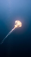 Glowing Jellyfish in Deep Blue Ocean - Vertical Mobile Wallpaper
