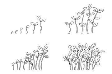 Four stages of seedling growth from tiny sprouts to dense foliage illustration plant leaf