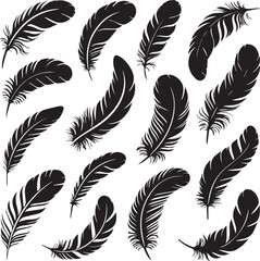 Extensive collection of black feather vector silhouettes in various shapes for elegant design.