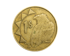 Namibia one dollar coin on white isolated background