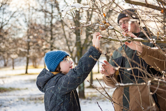 Father and child reaching for snow-covered branches in a sunlit winter park.