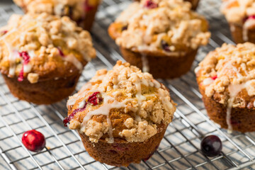 Autumn Homemade Cranberry Orange Muffins