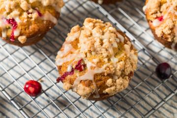Autumn Homemade Cranberry Orange Muffins