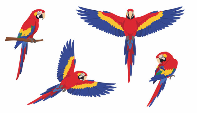 A vibrant collection of colorful macaws in various poses and flying positions
