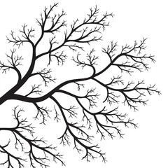 Silhouette of Bare Tree Branches Against White winter