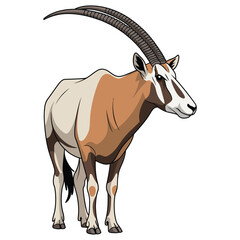 Scimitar Horned Oryx