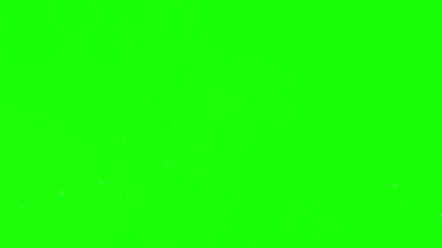 Dynamic gold glitter particles floating against a vibrant green screen for visual effects use