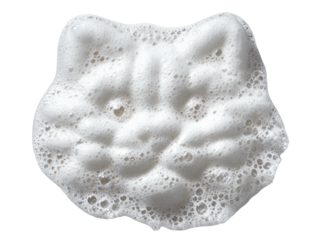 Foamy, white cat shape with smooth texture