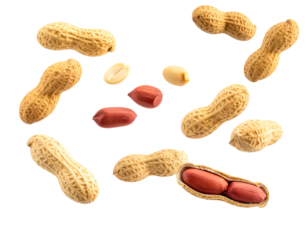 peanuts floating falling isolated on white or transparent png