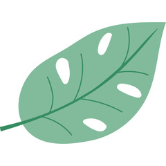Monstera Leaf Illustration Minimalist Vector Art Green Tropical Plant Botanical Element Simple Design Flat Graphic Natural Organic Shape Isolated Object