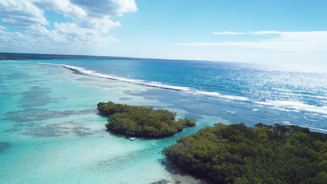 4k 24fps drone shoot of the mangroves in the caribbean sea