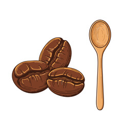 An elegant hand-drawn illustration featuring three rich brown coffee beans alongside a rustic wooden spoon, perfect for culinary and beverage designs.