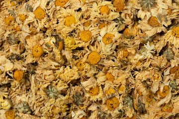 Pile of dried chrysanthemum flowers for a background. Top view