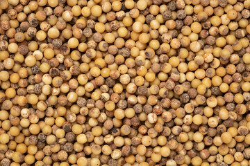 Pile of white peppercorns for background. Top view