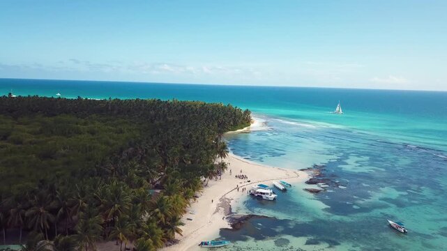 4k 24fps palms tree in the saona island with drone dominican republic 6