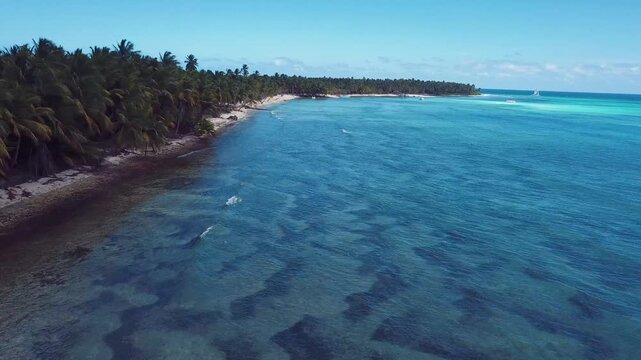 4k 24fps palms tree in the saona island with drone dominican republic 5