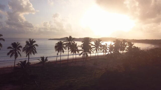 4k 24fps sunrise in the in the caribbean with shoot paradise with palms tree