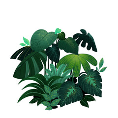 green leaves on white background