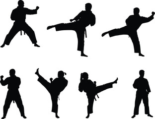 Martial arts silhouettes, karate kick poses, taekwondo fighters, kung fu stances, self defense training, martial artist vector, combat sport illustration