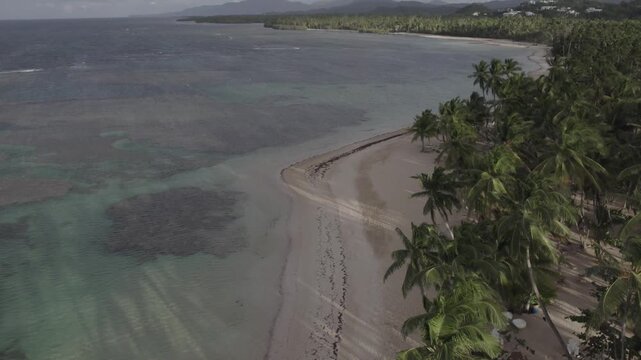 4k 60 fps in the caribbean drone shoot of the nature and palms trees in a turism beach 2