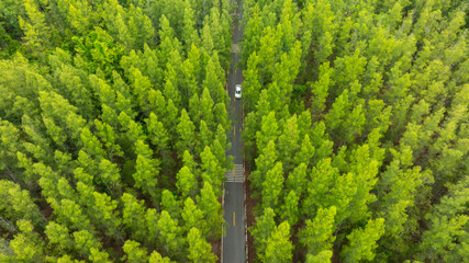 Aerial view of dark green forest road and white electric car Natural landscape and elevated roads...