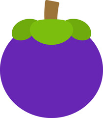 vector illustration of a mangosteen