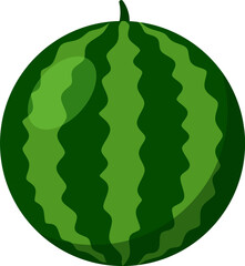 vector illustration of a watermelon