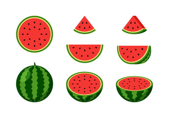 watermelon vector in various slices