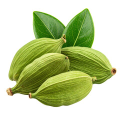 Dried figs, a healthy natural fruit, and green tea leaves are isolated on a white background