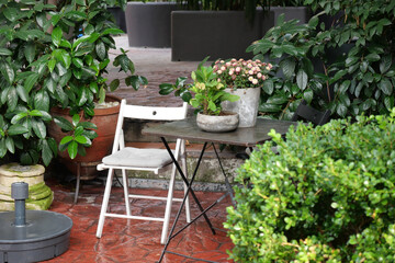 Cozy outdoor seating area with plants and flowers