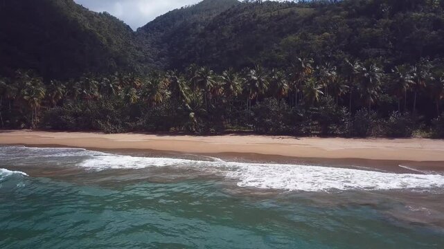 virgin beach maked with a drone in the caribbean with palms tree and mountains 4k 24fps