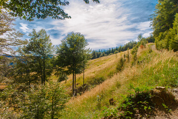 Beautiful landscape in the summer mountain
