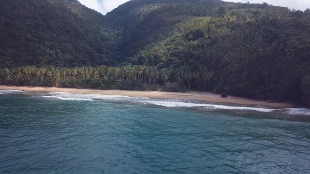 natural beach in a paradise with palms trees and waves maked with a drone 4k 24 fps