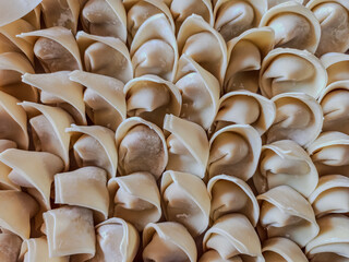 Raw Chicken Wonton Filling Wrapped in Dumpling Skins