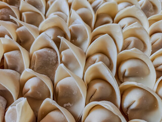 Raw Chicken Wonton Filling Wrapped in Dumpling Skins